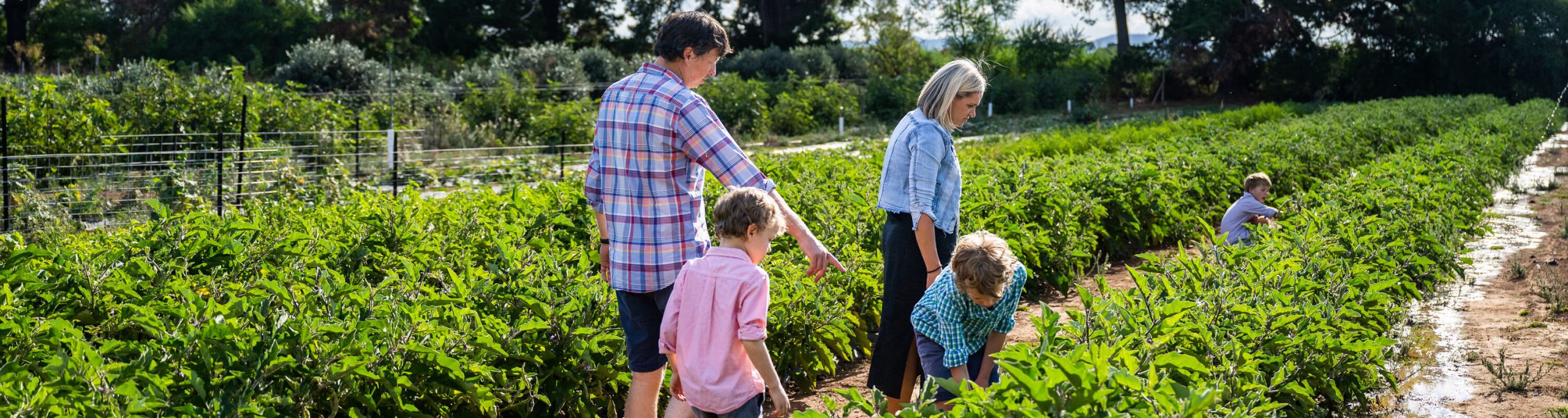 Family at Huntley Berry Farm