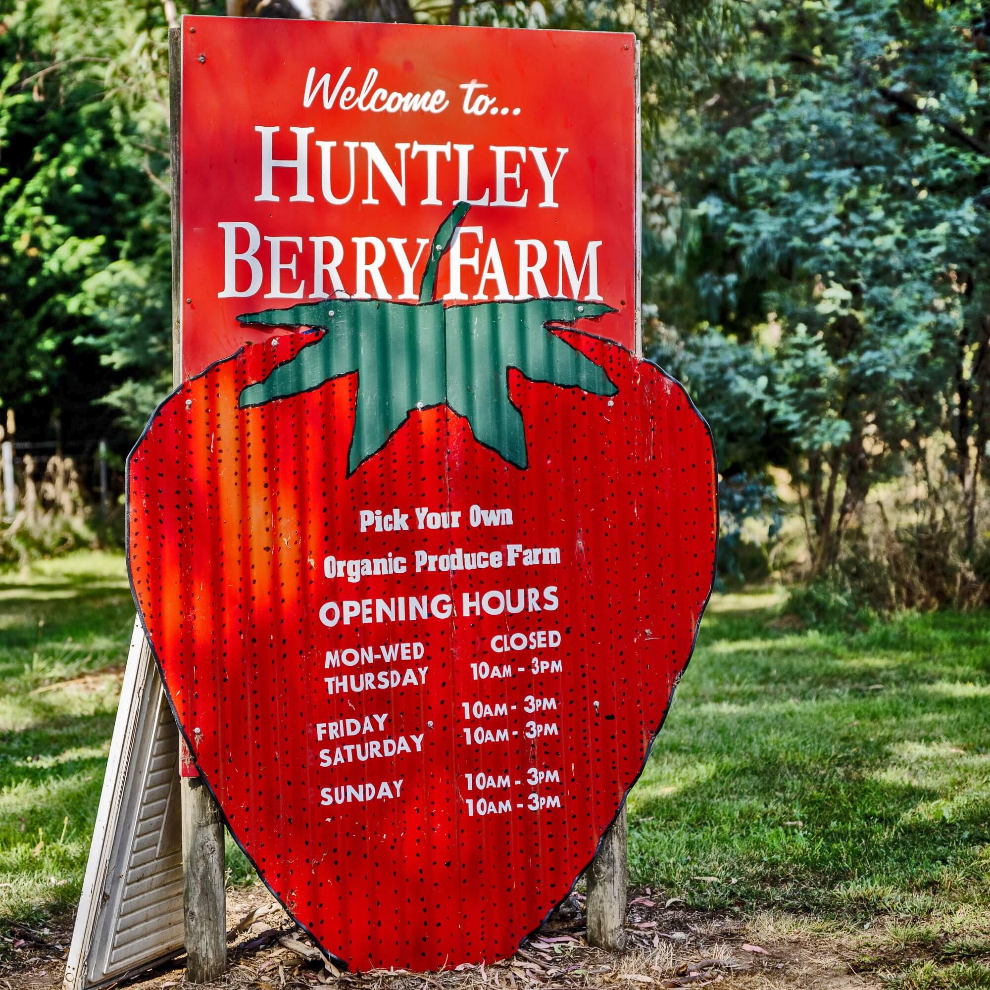 Huntley Berry Farm